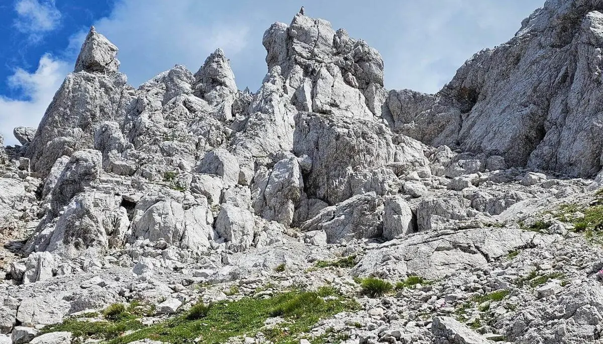 Zerklüftete Kalkfelsen ragen in einem hochalpinen Kar auf. Zwischen den hellen Felsblöcken wachsen nur einzelne Graspolster und Alpenpflanzen. | © DAV Markt Schwaben/Lutz Gründel