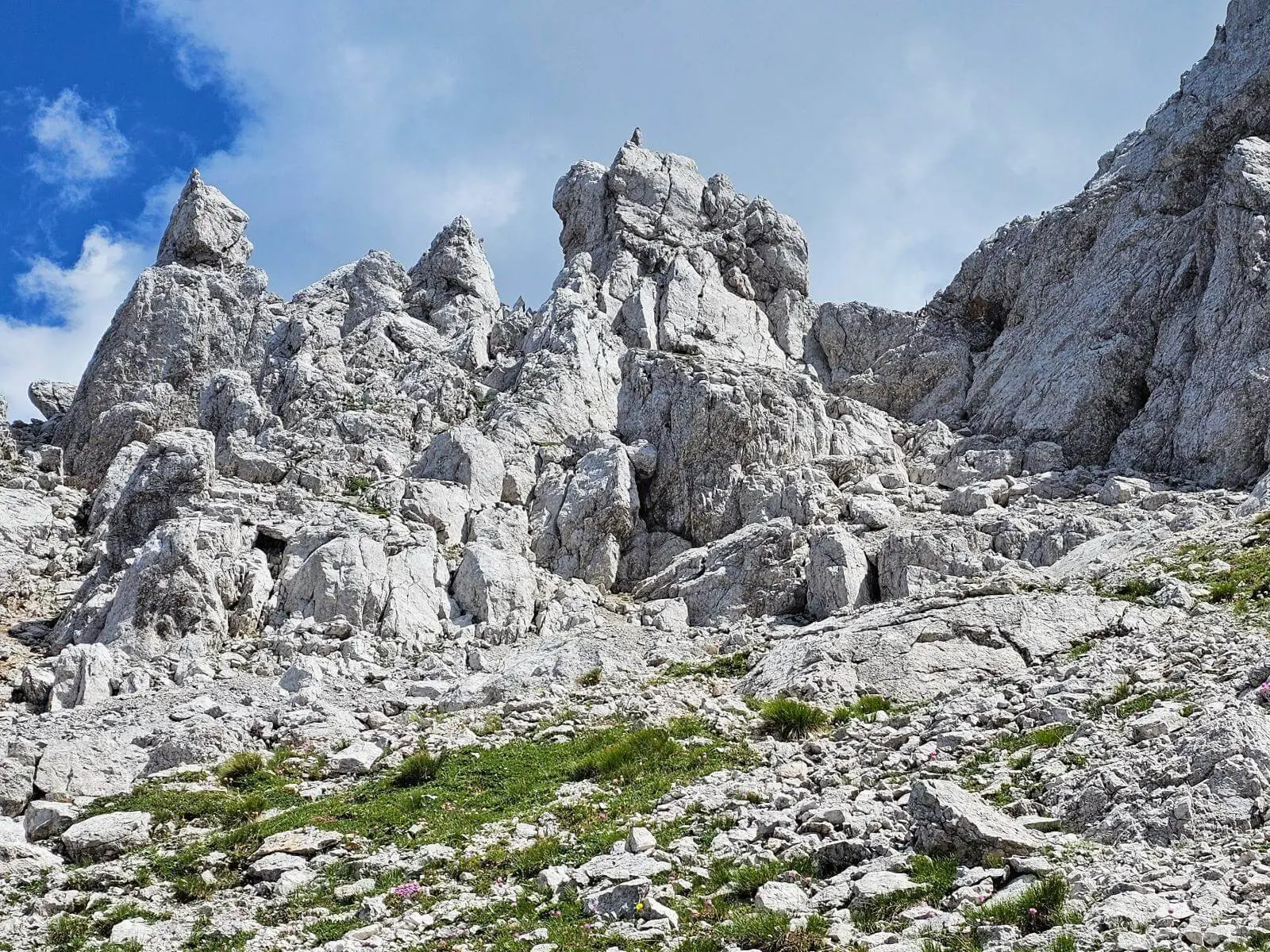 Zerklüftete Kalkfelsen ragen in einem hochalpinen Kar auf. Zwischen den hellen Felsblöcken wachsen nur einzelne Graspolster und Alpenpflanzen. | © DAV Markt Schwaben/Lutz Gründel