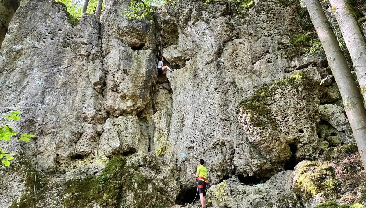 Eine Person klettert in einer steilen Felswand, während eine weitere Person am Boden sichert. Die zerklüfteten Kalkfelsen sind von Wald umgeben. | © DAV Markt Schwaben/Lara Wolff