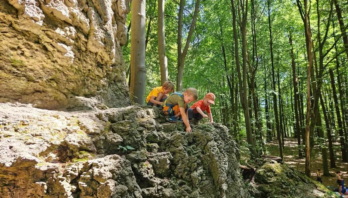 Drei Kinder klettern und balancieren auf einem niedrigen Felsabsatz im Wald. Die helle Kalkwand ragt neben ihnen zwischen hohen Bäumen auf. | © DAV Markt Schwaben/Lara Wolff