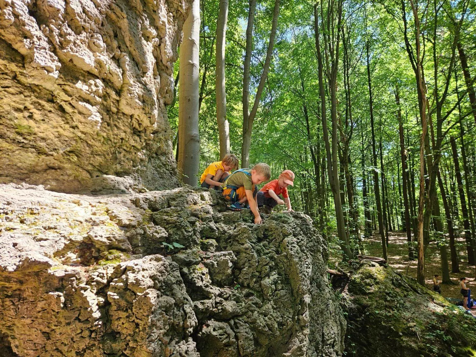 Drei Kinder klettern und balancieren auf einem niedrigen Felsabsatz im Wald. Die helle Kalkwand ragt neben ihnen zwischen hohen Bäumen auf. | © DAV Markt Schwaben/Lara Wolff