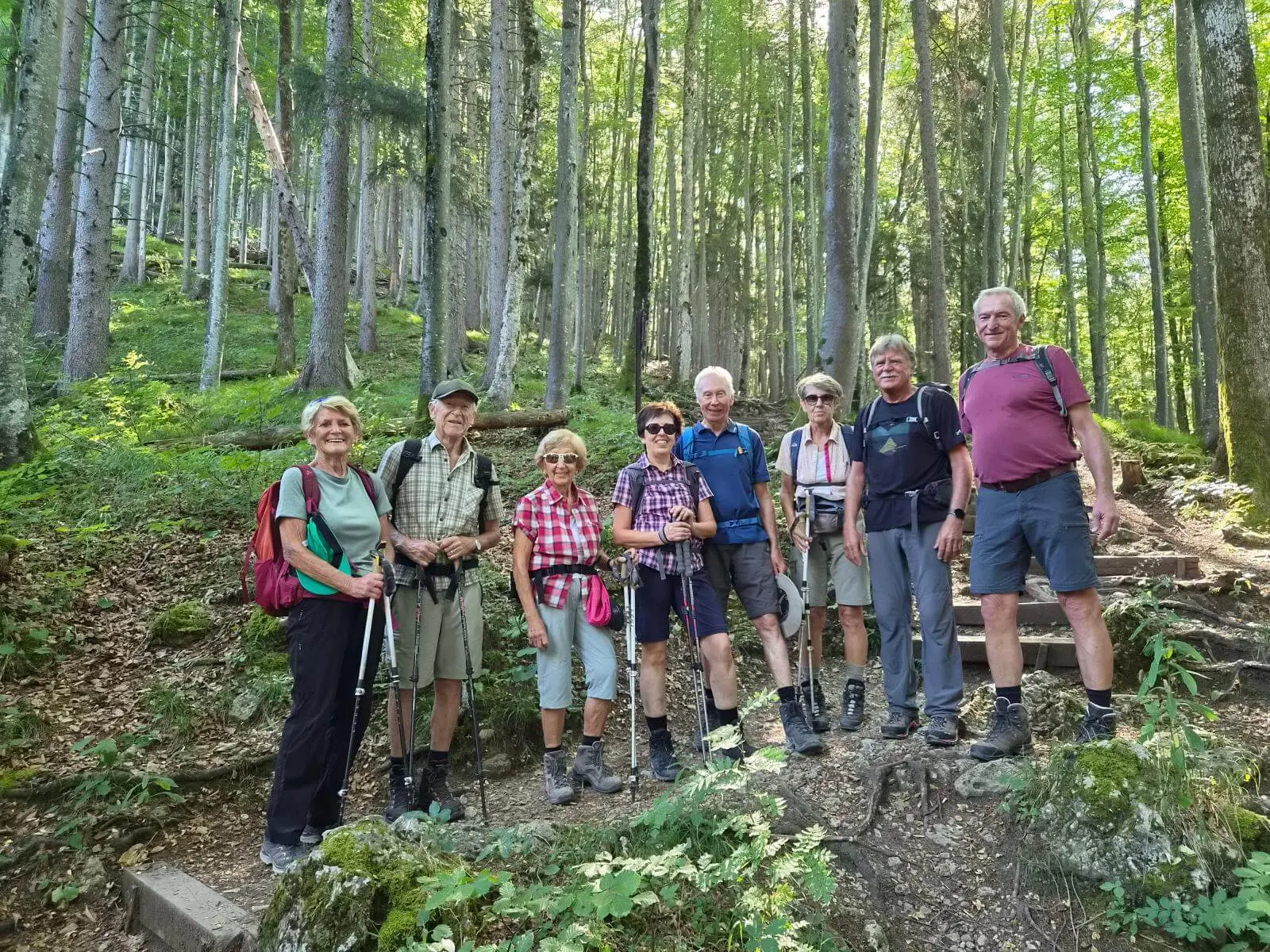 Acht Wandernde mit Rucksäcken und Trekkingstöcken posieren auf einem Waldpfad zwischen hohen Bäumen am Aufstieg zum Riederstein. | © DAV Markt Schwaben/Hubert Inhofer