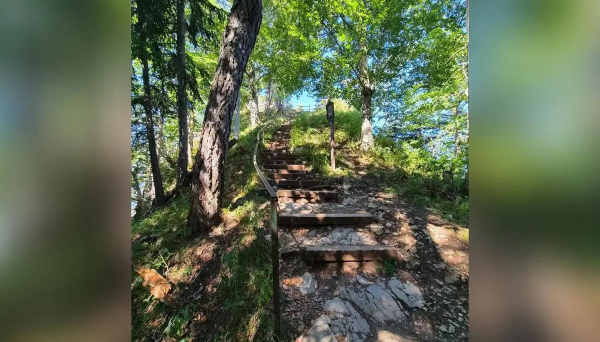 Steiler Bergpfad mit Holzstufen und Geländer führt durch lichten Wald bergauf; am Weg steht eine Station des Kreuzwegs. | © DAV Markt Schwaben/Hubert Inhofer