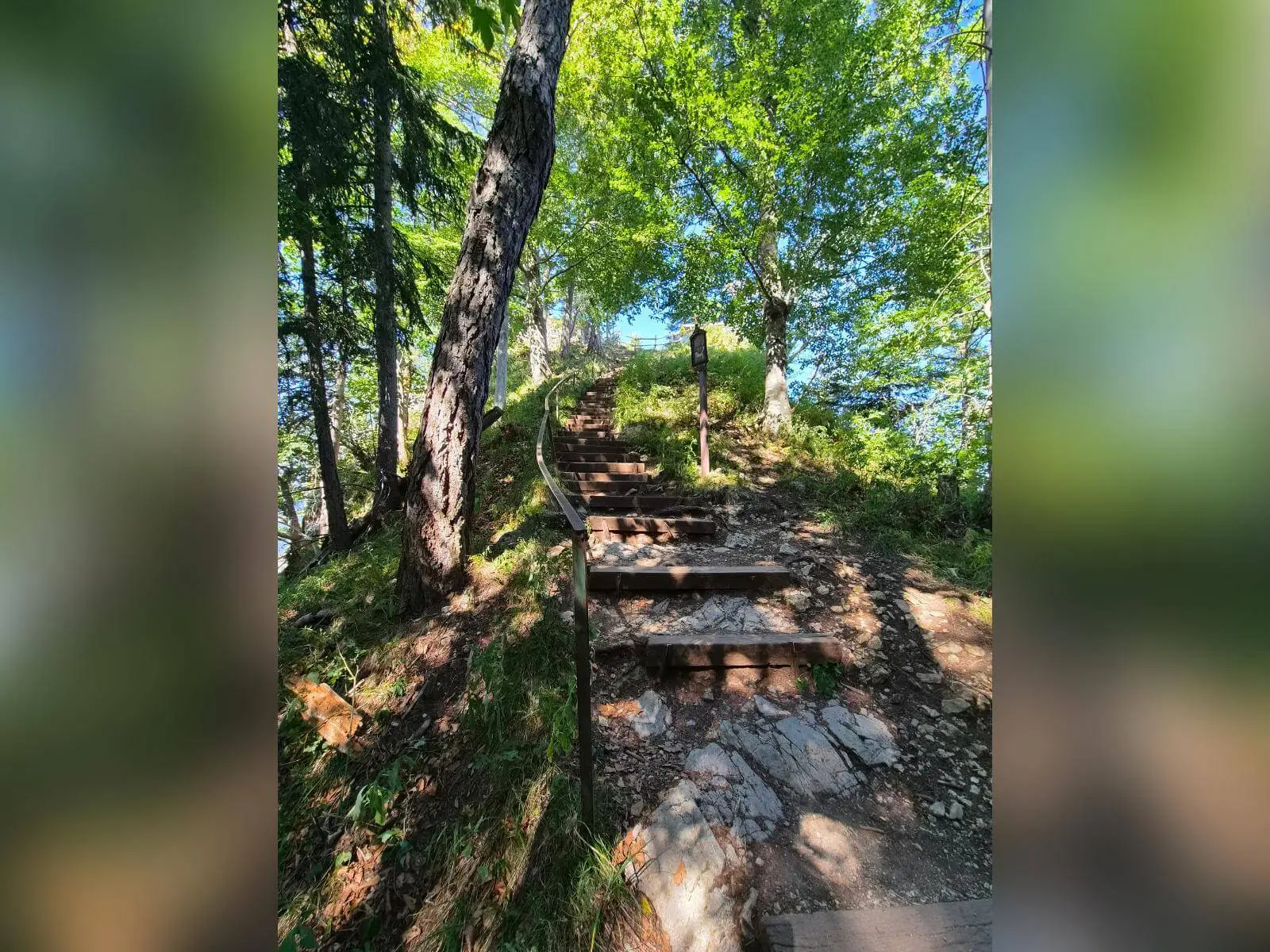 Steiler Bergpfad mit Holzstufen und Geländer führt durch lichten Wald bergauf; am Weg steht eine Station des Kreuzwegs. | © DAV Markt Schwaben/Hubert Inhofer