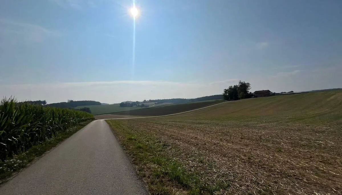 Eine schmale Asphaltstraße führt durch sanft hügelige Felder des Erdinger Holzlands. Über der offenen Landschaft steht die Sonne am klaren Himmel. | © DAV Markt Schwaben/Radsportgruppe