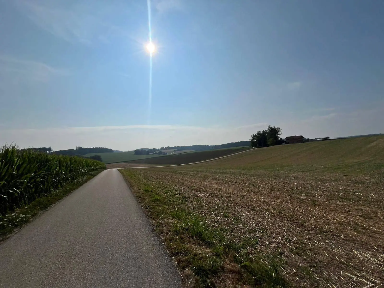 Eine schmale Asphaltstraße führt durch sanft hügelige Felder des Erdinger Holzlands. Über der offenen Landschaft steht die Sonne am klaren Himmel. | © DAV Markt Schwaben/Radsportgruppe