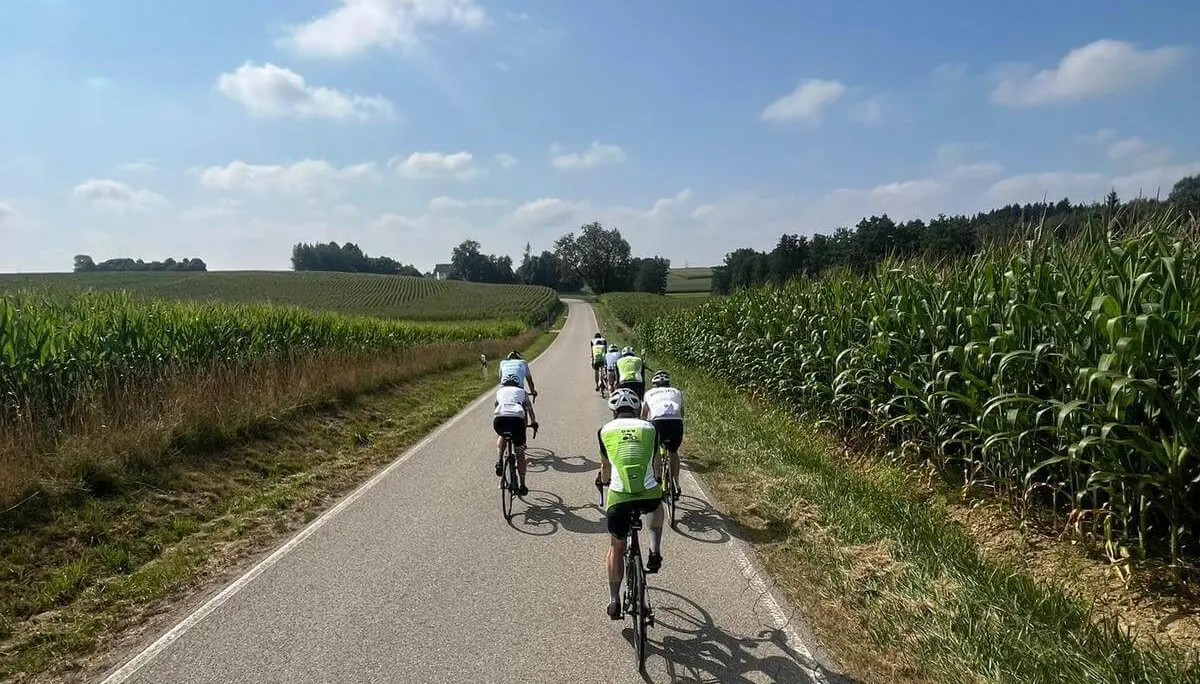 Eine Gruppe von Rennradfahrenden fährt auf einer schmalen Landstraße zwischen Feldern und Maisäckern durch die Hügellandschaft des Erdinger Holzlands. | © DAV Markt Schwaben/Radsportgruppe
