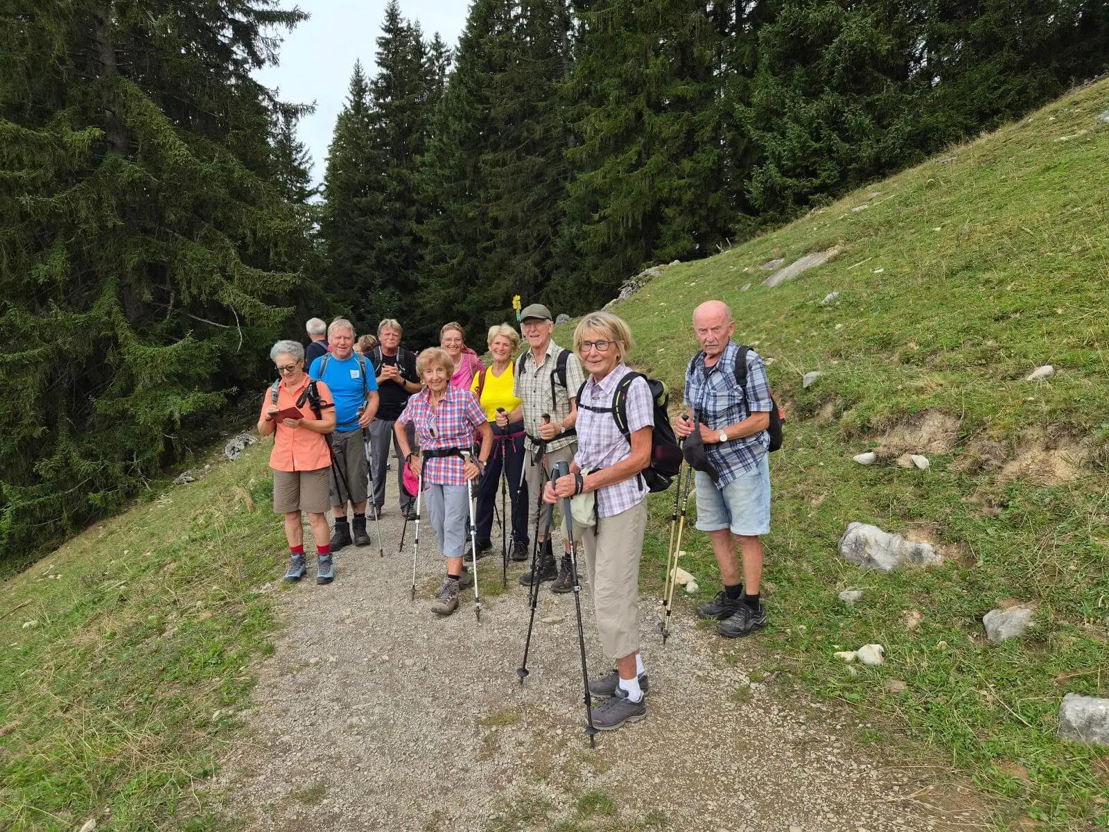 Die Wandergruppe steht mit Wanderstöcken auf einem breiten Schotterweg am Waldrand. Im Hintergrund steigen bewaldete Hänge an. | © DAV Markt Schwaben/Hubert Inhofer
