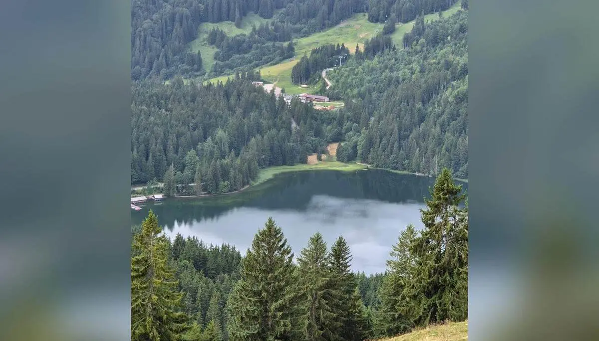 Blick von einem Berghang auf den Spitzingsee. Der See liegt zwischen dicht bewaldeten Hängen, einzelne Gebäude sind am Ufer zu erkennen. | © DAV Markt Schwaben/Hubert Inhofer