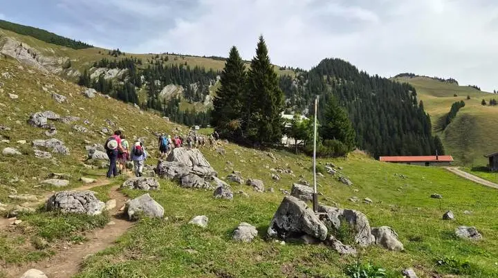 Eine Wandergruppe folgt einem schmalen Bergpfad über eine steinige Almwiese. Im Hintergrund steigen bewaldete Hänge und felsige Bergflanken an. | © DAV Markt Schwaben/Hubert Inhofer