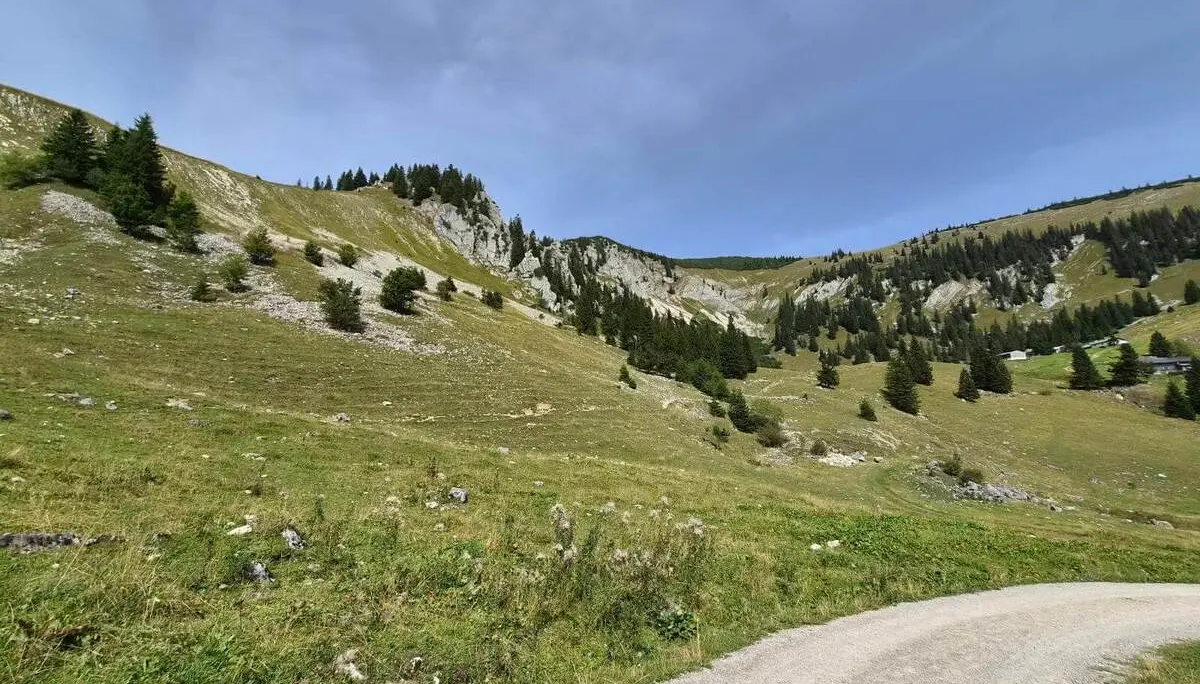 Ein schmaler Weg führt durch offene Almwiesen zu felsdurchsetzten Berghängen. Vereinzelte Nadelbäume stehen in der weitläufigen Berglandschaft. | © DAV Markt Schwaben/Hubert Inhofer