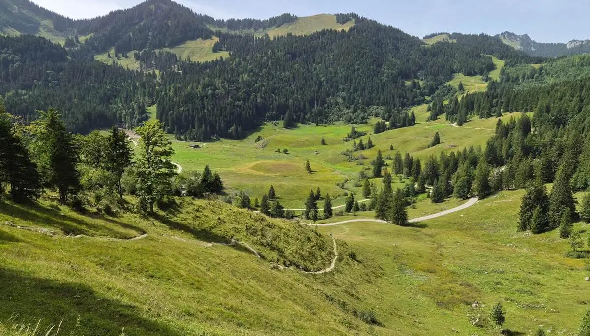 Blick über weite Almwiesen mit geschwungenen Wegen und einzelnen Baumgruppen. Bewaldete Berghänge umrahmen das Tal im Hintergrund. | © DAV Markt Schwaben/Hubert Inhofer