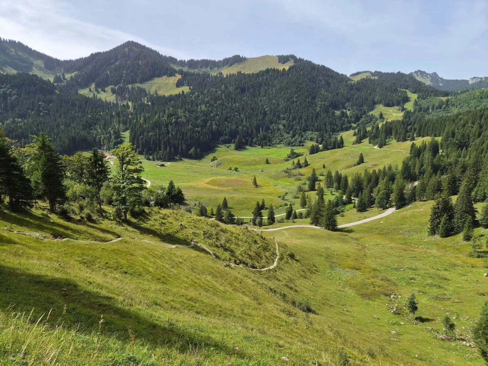 Blick über weite Almwiesen mit geschwungenen Wegen und einzelnen Baumgruppen. Bewaldete Berghänge umrahmen das Tal im Hintergrund. | © DAV Markt Schwaben/Hubert Inhofer