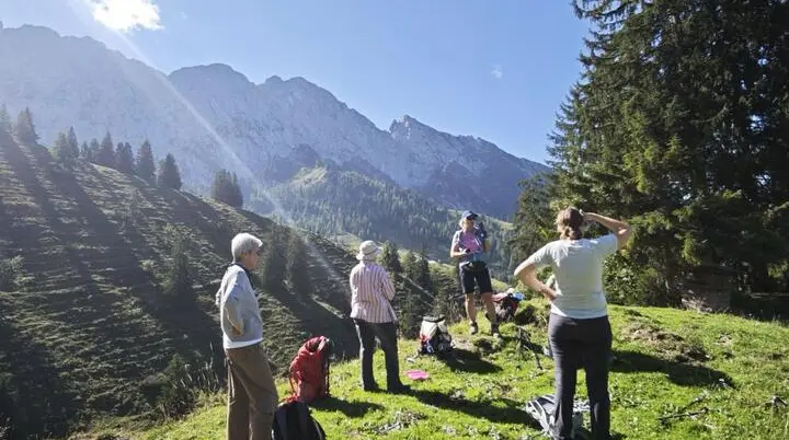 Mehrere Wandernde stehen auf einer sonnigen Almwiese am Wilden Kaiser. Im Hintergrund ragen steile Felsberge und bewaldete Hänge unter klarem Himmel auf. | © DAV Markt Schwaben / Erwin Matzinger