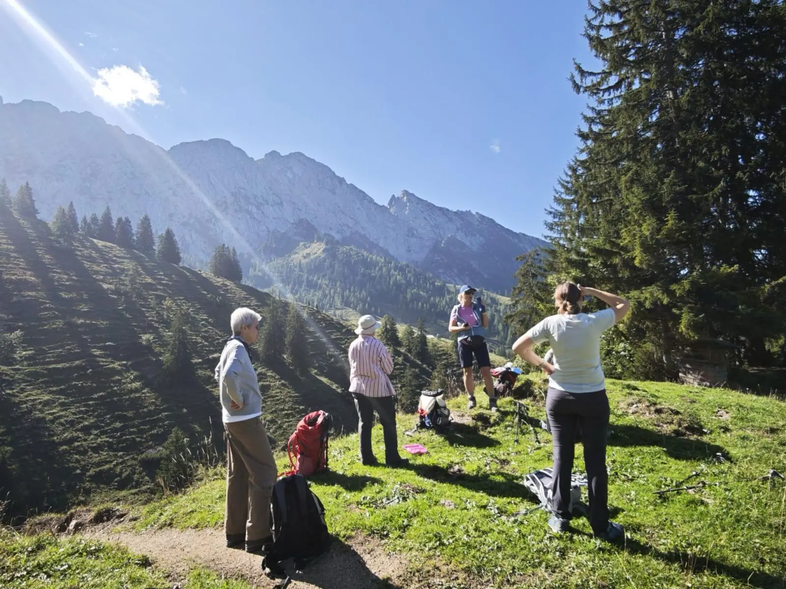 Mehrere Wandernde stehen auf einer sonnigen Almwiese am Wilden Kaiser. Im Hintergrund ragen steile Felsberge und bewaldete Hänge unter klarem Himmel auf. | © DAV Markt Schwaben / Erwin Matzinger