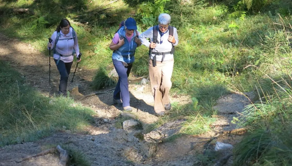 Drei Wandernde steigen mit Rucksäcken und Trekkingstöcken auf einem steinigen Waldpfad bergauf. Sonnenlicht fällt durch die Bäume auf den Weg. | © DAV Markt Schwaben / Erwin Matzinger