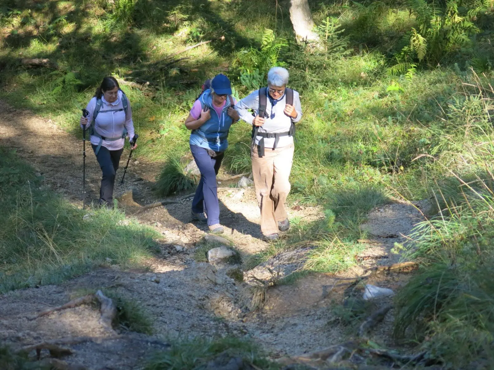 Drei Wandernde steigen mit Rucksäcken und Trekkingstöcken auf einem steinigen Waldpfad bergauf. Sonnenlicht fällt durch die Bäume auf den Weg. | © DAV Markt Schwaben / Erwin Matzinger