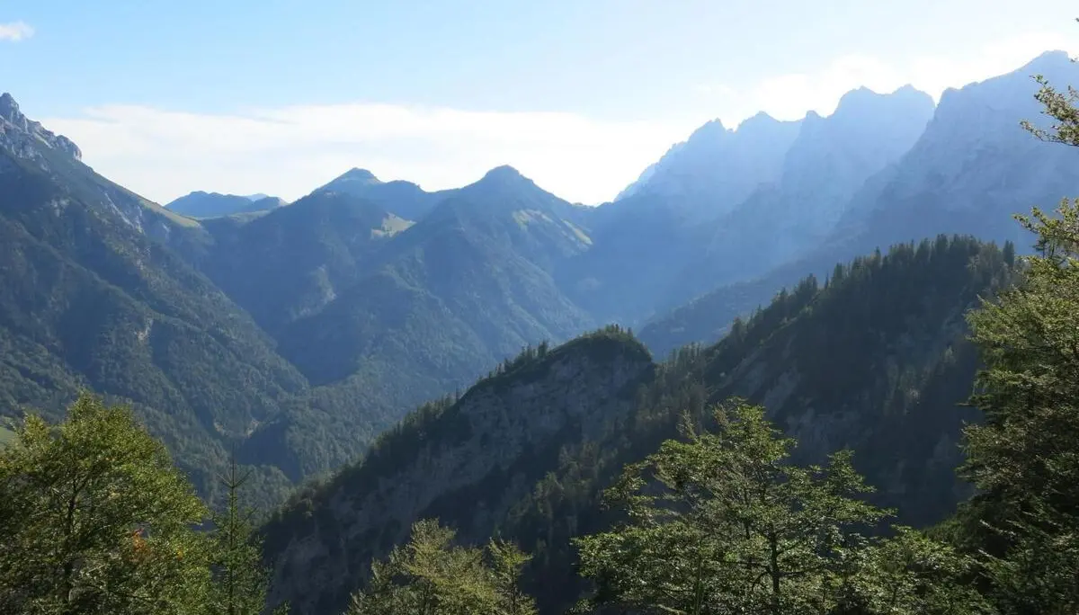 Blick über bewaldete Berghänge und ein tief eingeschnittenes Tal zum Gebirgsmassiv des Wilden Kaisers. Die Morgensonne zeichnet helle Konturen an den Gipfeln. | © DAV Markt Schwaben / Erwin Matzinger
