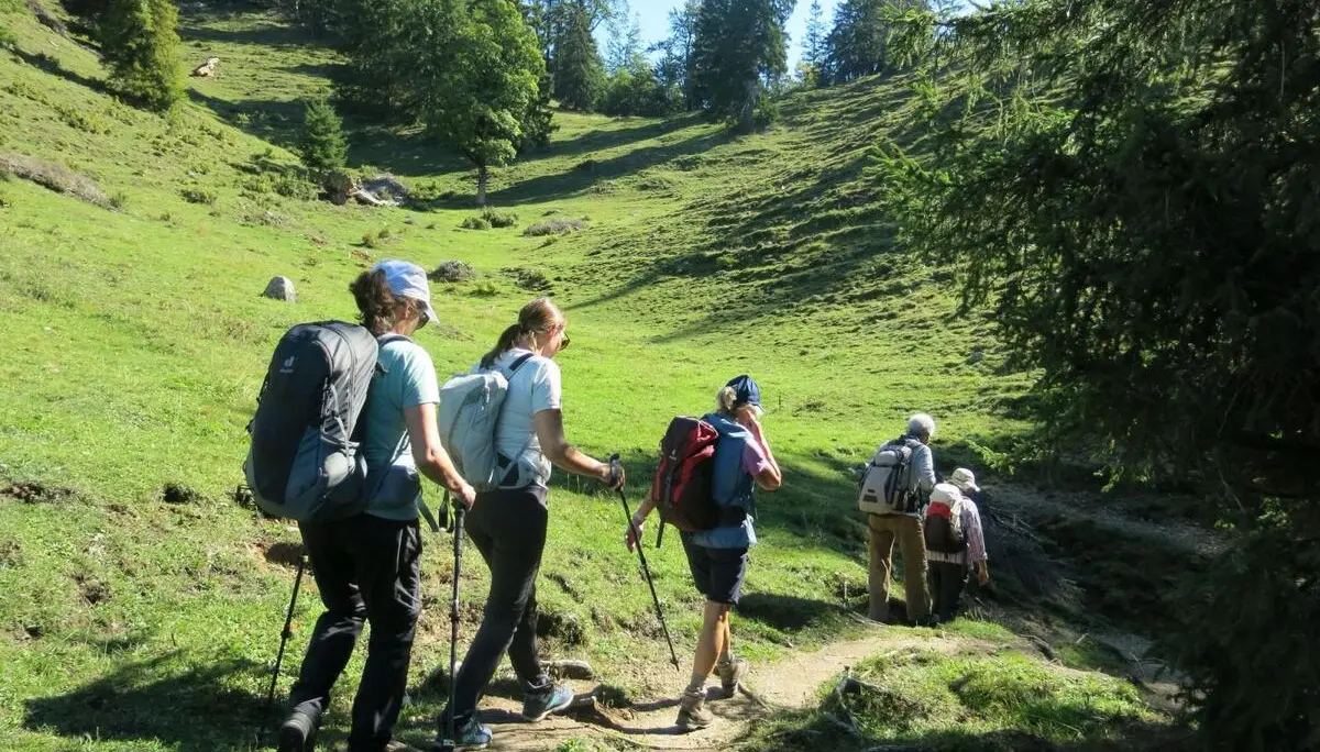 Sechs Wandernde folgen einem schmalen Pfad durch eine sonnige Almwiese. Der Weg führt zwischen Wiesenhängen und einzelnen Nadelbäumen bergauf. | © DAV Markt Schwaben / Erwin Matzinger