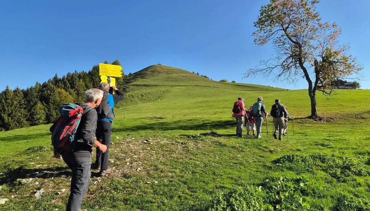 Mehrere Wandernde folgen einem Pfad über grüne Almwiesen Richtung Gipfelkuppe; daneben steht ein gelber Wegweiser. | © DAV Markt Schwaben/Hubert Inhofer
