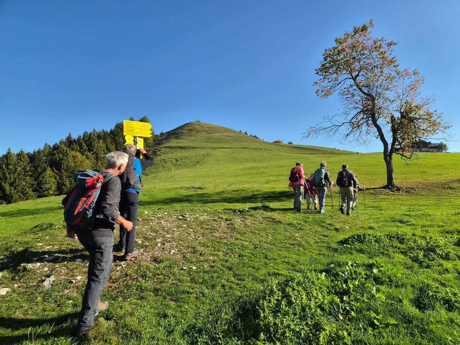 Mehrere Wandernde folgen einem Pfad über grüne Almwiesen Richtung Gipfelkuppe; daneben steht ein gelber Wegweiser. | © DAV Markt Schwaben/Hubert Inhofer