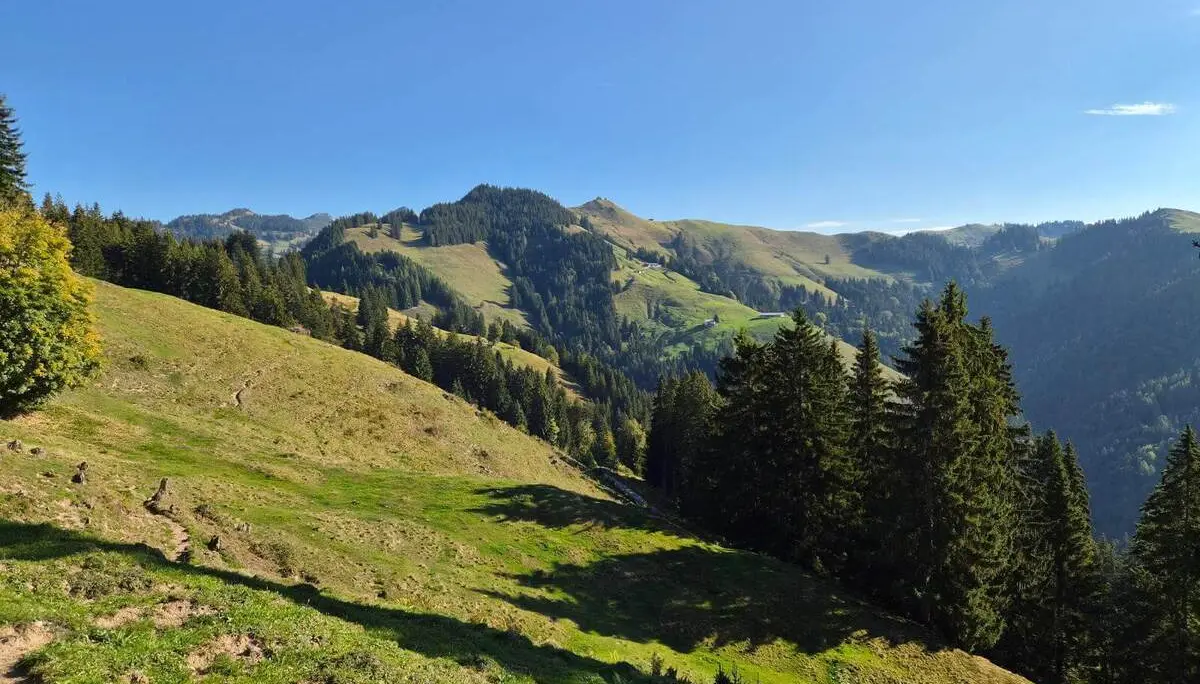 Blick über sonnige Almhänge und Nadelwälder auf die umliegenden Berge; ein schmaler Bergpfad führt durch die Wiesen. | © DAV Markt Schwaben/Hubert Inhofer