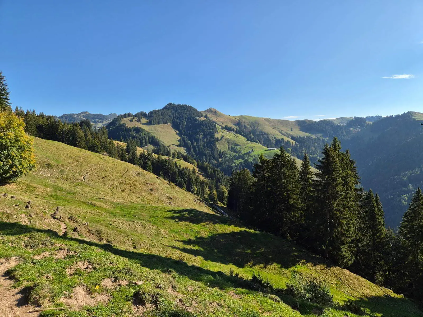 Blick über sonnige Almhänge und Nadelwälder auf die umliegenden Berge; ein schmaler Bergpfad führt durch die Wiesen. | © DAV Markt Schwaben/Hubert Inhofer