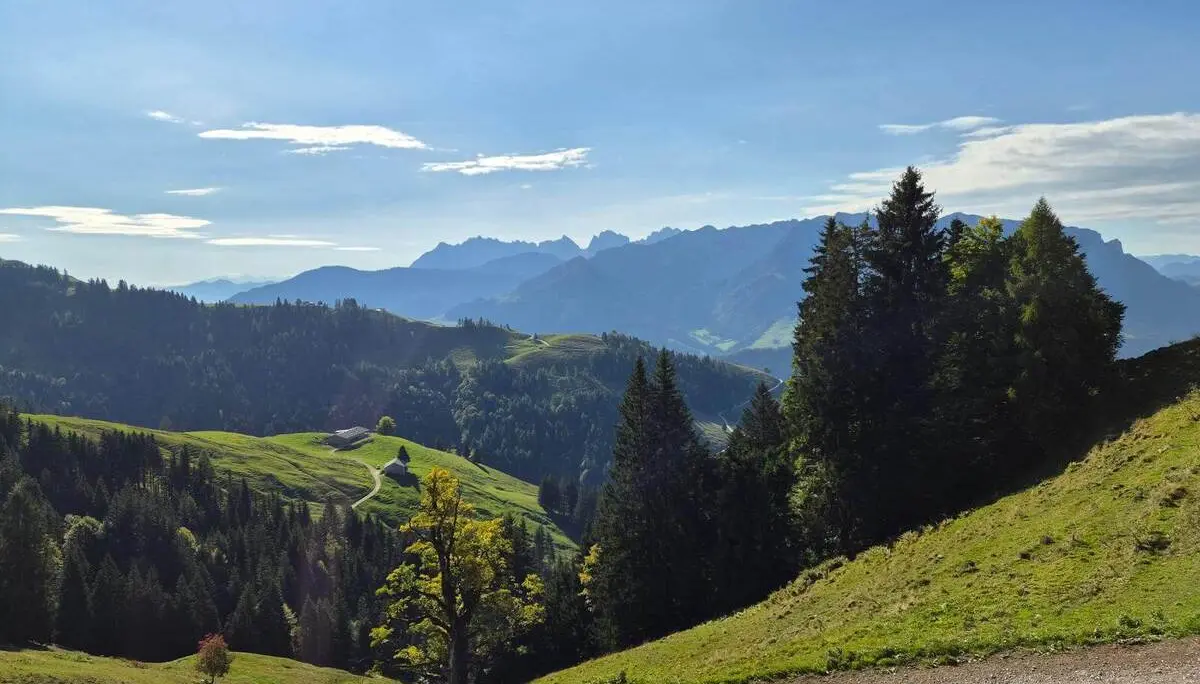 Blick über grüne Almen und dunkle Bergwälder auf eine Hütte und entfernte Gipfelketten unter blauem Himmel. | © DAV Markt Schwaben/Hubert Inhofer