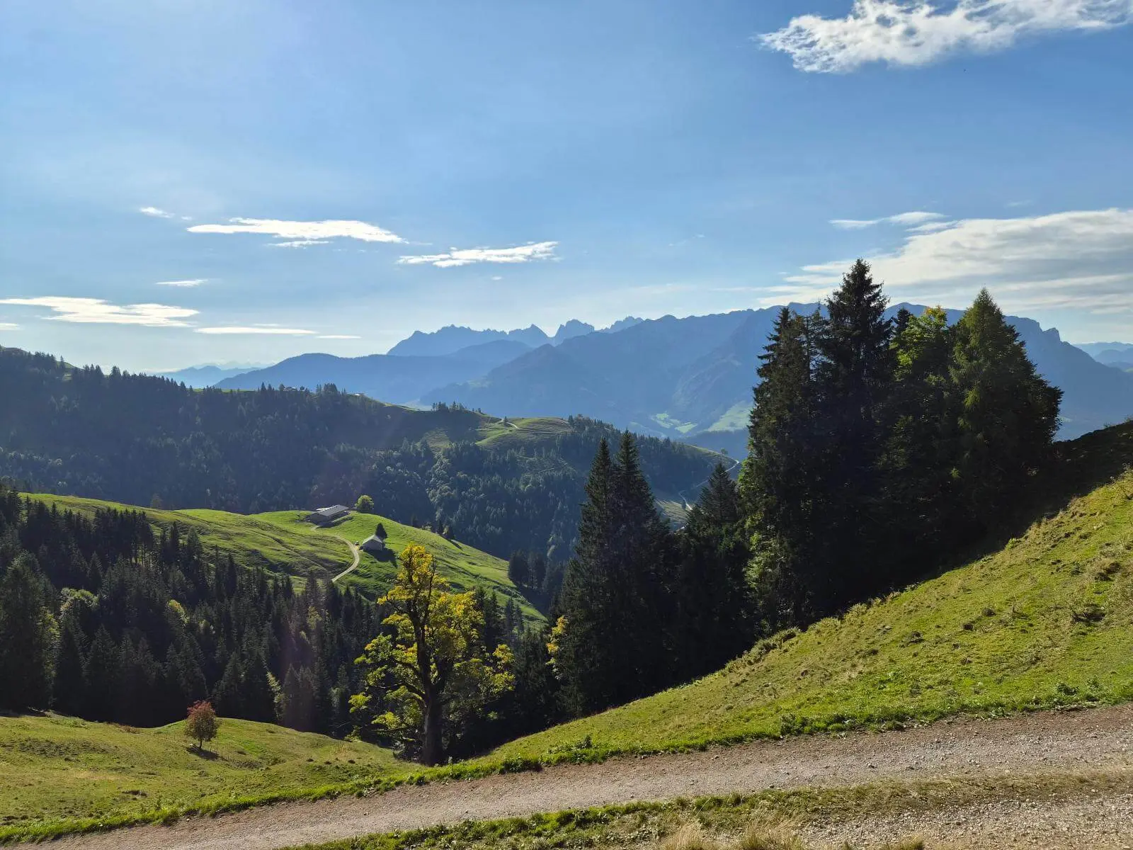 Blick über grüne Almen und dunkle Bergwälder auf eine Hütte und entfernte Gipfelketten unter blauem Himmel. | © DAV Markt Schwaben/Hubert Inhofer