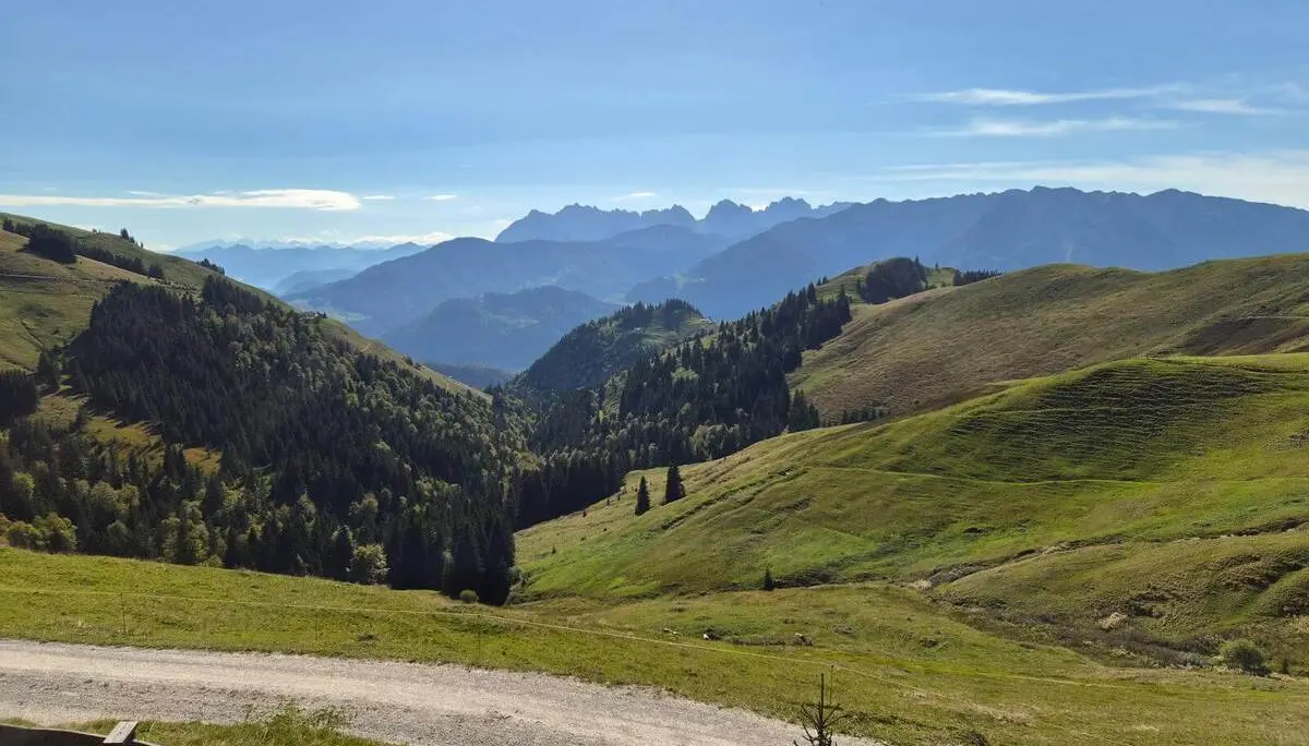 Sanfte Almhänge und bewaldete Täler erstrecken sich bis zu den Bergen am Horizont; ein Weg verläuft durch die Wiesen. | © DAV Markt Schwaben/Hubert Inhofer