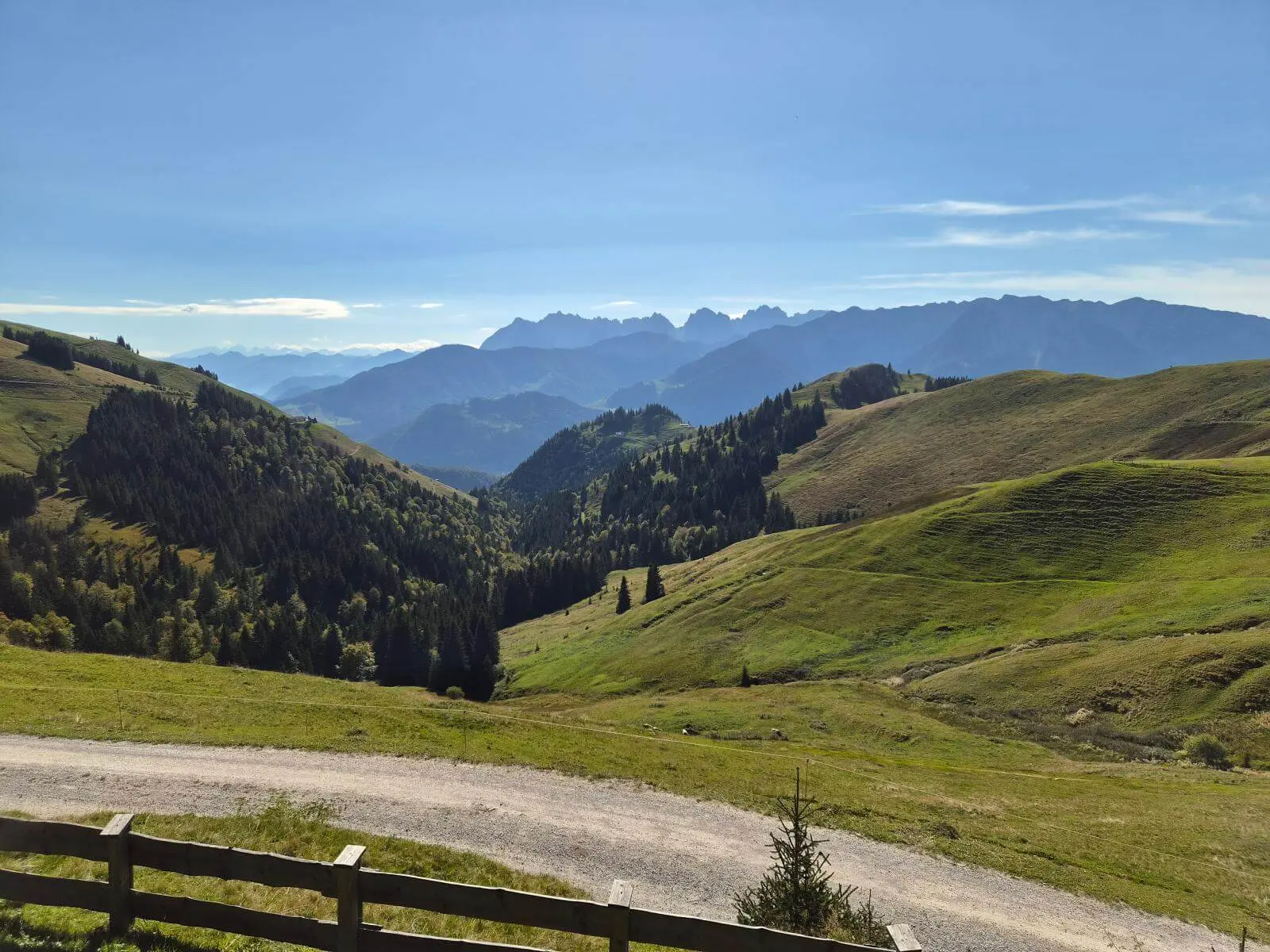 Sanfte Almhänge und bewaldete Täler erstrecken sich bis zu den Bergen am Horizont; ein Weg verläuft durch die Wiesen. | © DAV Markt Schwaben/Hubert Inhofer