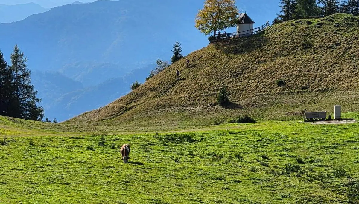 Kleine Kapelle auf einem Hügel oberhalb grüner Almwiesen; im Vordergrund weiden Kühe, dahinter ragen Bergketten auf. | © DAV Markt Schwaben/Hubert Inhofer