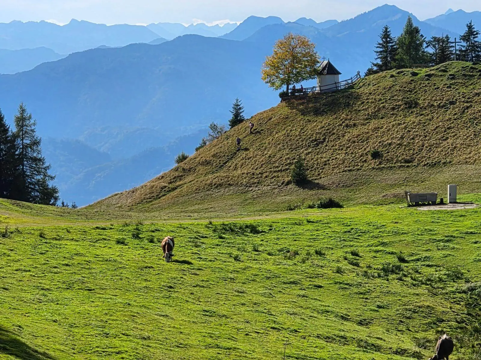 Kleine Kapelle auf einem Hügel oberhalb grüner Almwiesen; im Vordergrund weiden Kühe, dahinter ragen Bergketten auf. | © DAV Markt Schwaben/Hubert Inhofer