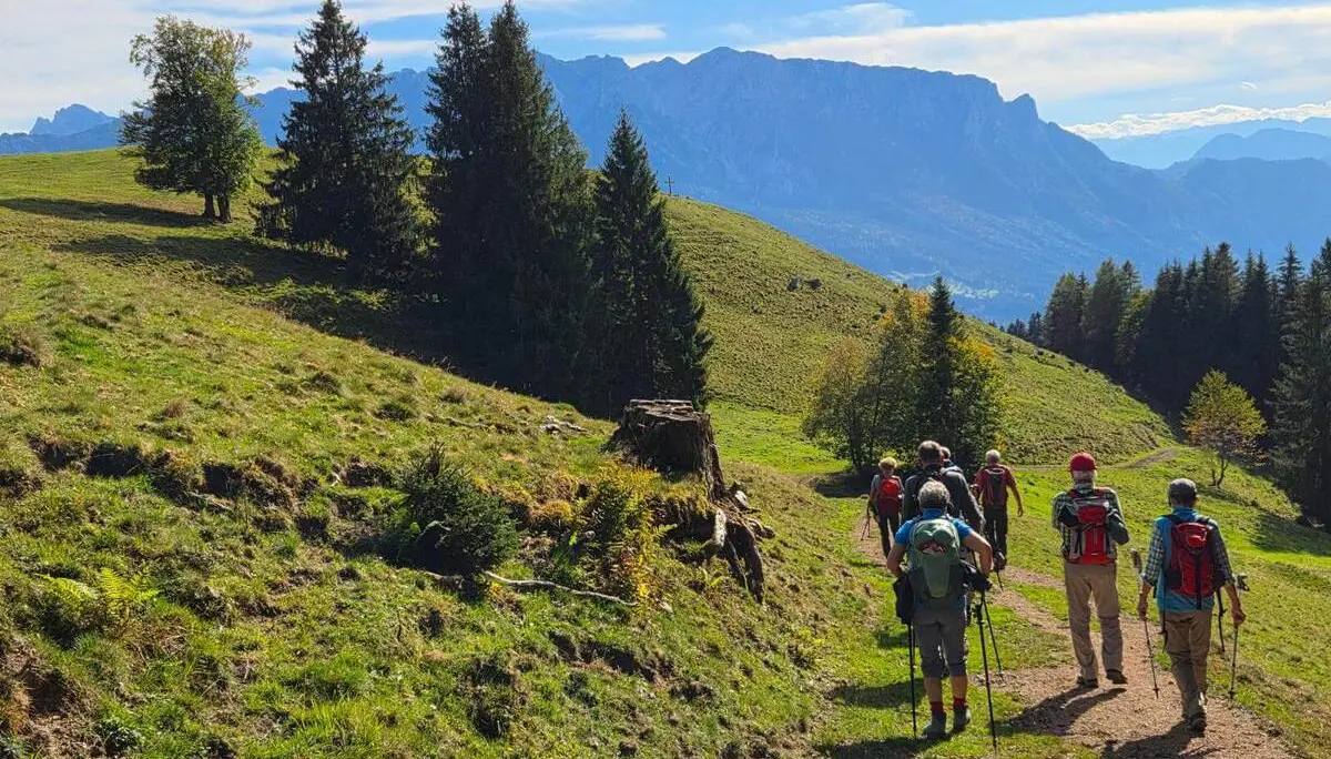 Wandergruppe mit Rucksäcken und Stöcken auf einem Bergweg; im Hintergrund erheben sich bewaldete Hänge und Gipfel. | © DAV Markt Schwaben/Hubert Inhofer