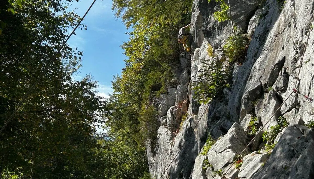 Eine Person klettert in einer steilen Felswand zwischen Bäumen. Das Sicherungsseil verläuft entlang der Route im Klettergarten. | © DAV Markt Schwaben/Lara Wolff