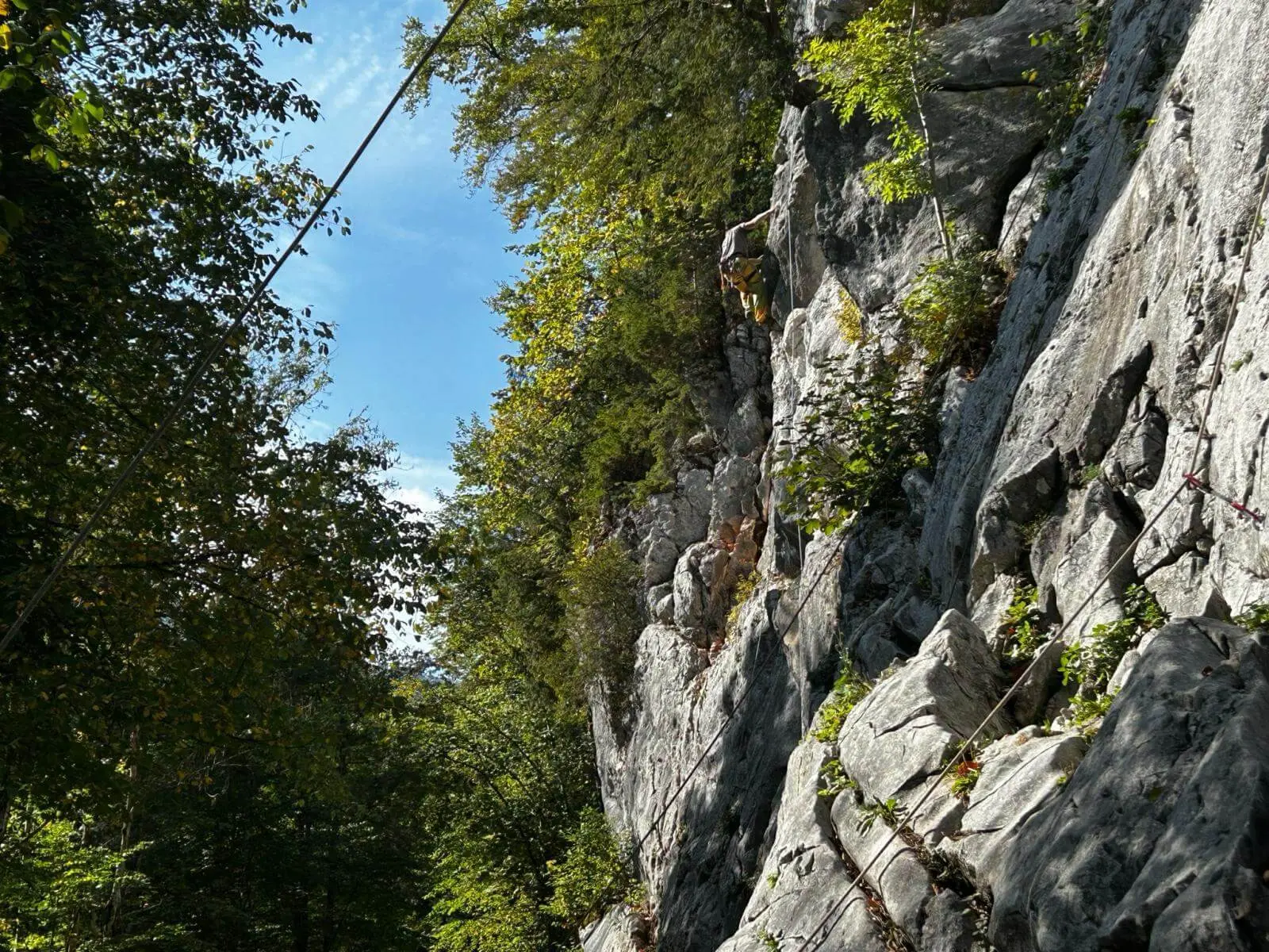 Eine Person klettert in einer steilen Felswand zwischen Bäumen. Das Sicherungsseil verläuft entlang der Route im Klettergarten. | © DAV Markt Schwaben/Lara Wolff