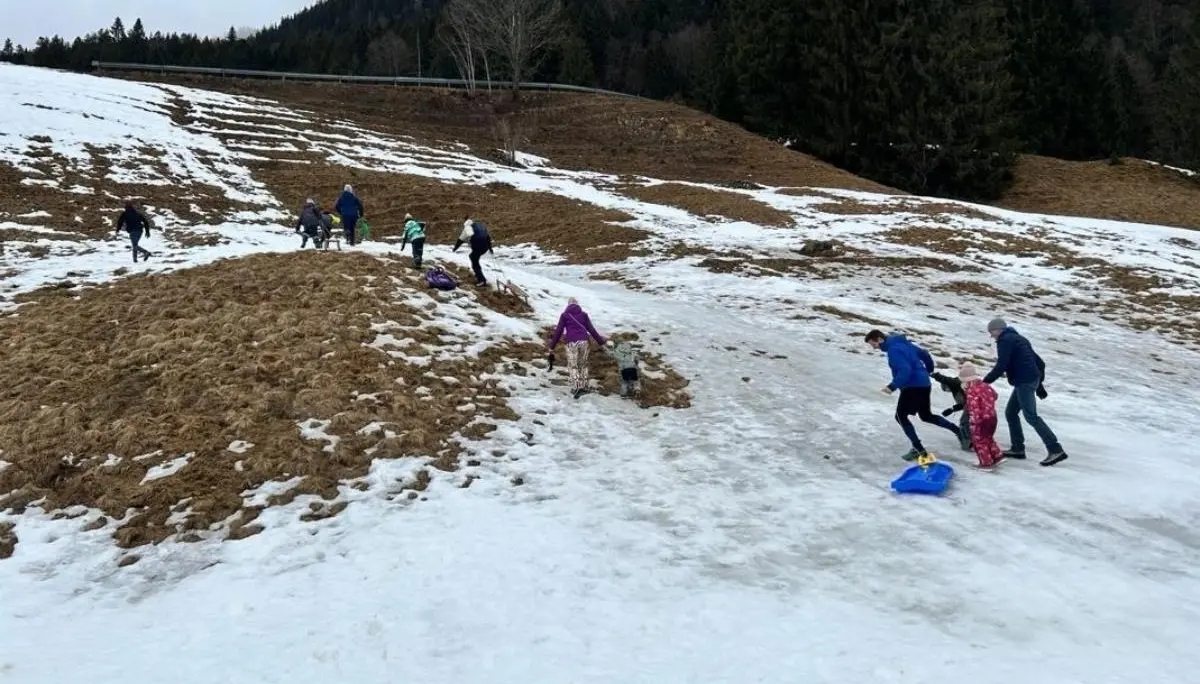 Kinder und Erwachsene bewegen sich einen verschneiten Hang hinauf; einige tragen Schlitten, andere stehen oder gehen zwischen Schnee‑ und Grasflächen. | © DAV Markt Schwaben, Familiengruppe