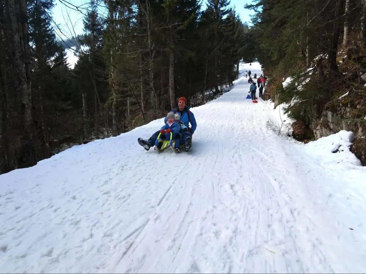 Ein Erwachsener und ein Kind rodeln lachend einen verschneiten Waldweg hinab; weiter oben gehen und fahren weitere Menschen zwischen hohen Tannen. | © DAV Markt Schwaben, Familiengruppe
