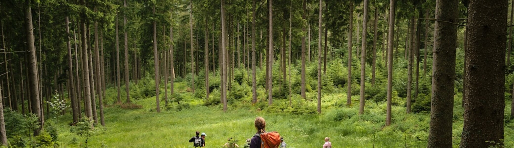 Aktion Schutzwald | © 	DAV/Arvid Uhlig
