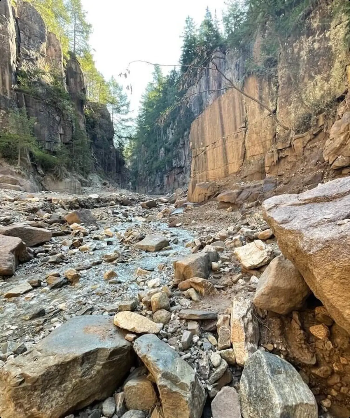 Alpine Landschaft mit Blick auf die Faule Eng, umgeben von steilen Felswänden und grüner Vegetation | © DAV | Foto Markus Zimmermann