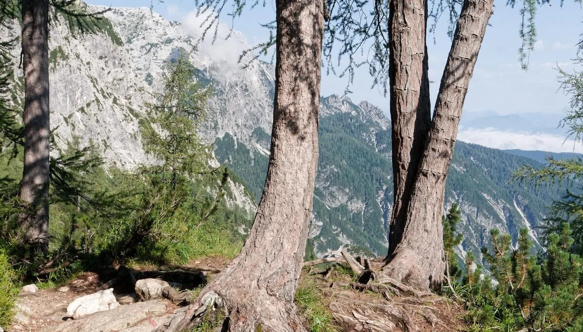 Julische Alpen Juli 2022 | © DAV Markt Schwaben | Foto Lutz Gründel