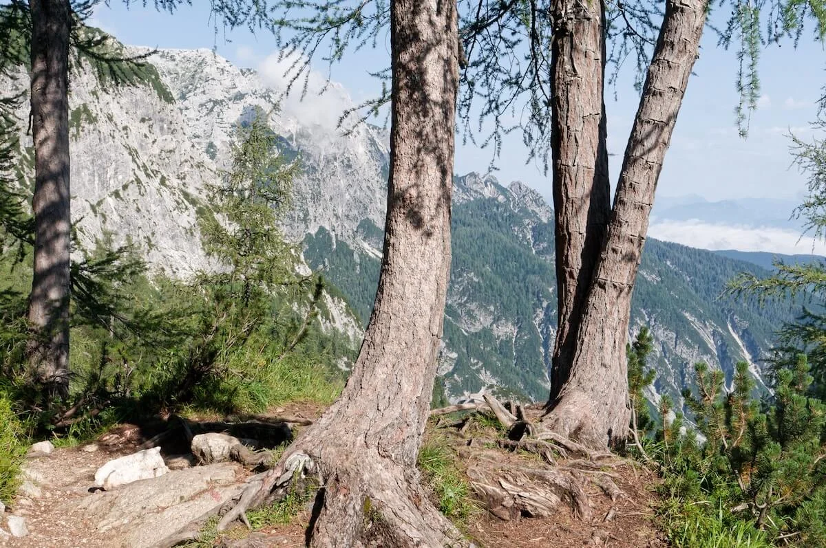 Julische Alpen Juli 2022 | © DAV Markt Schwaben | Foto Lutz Gründel