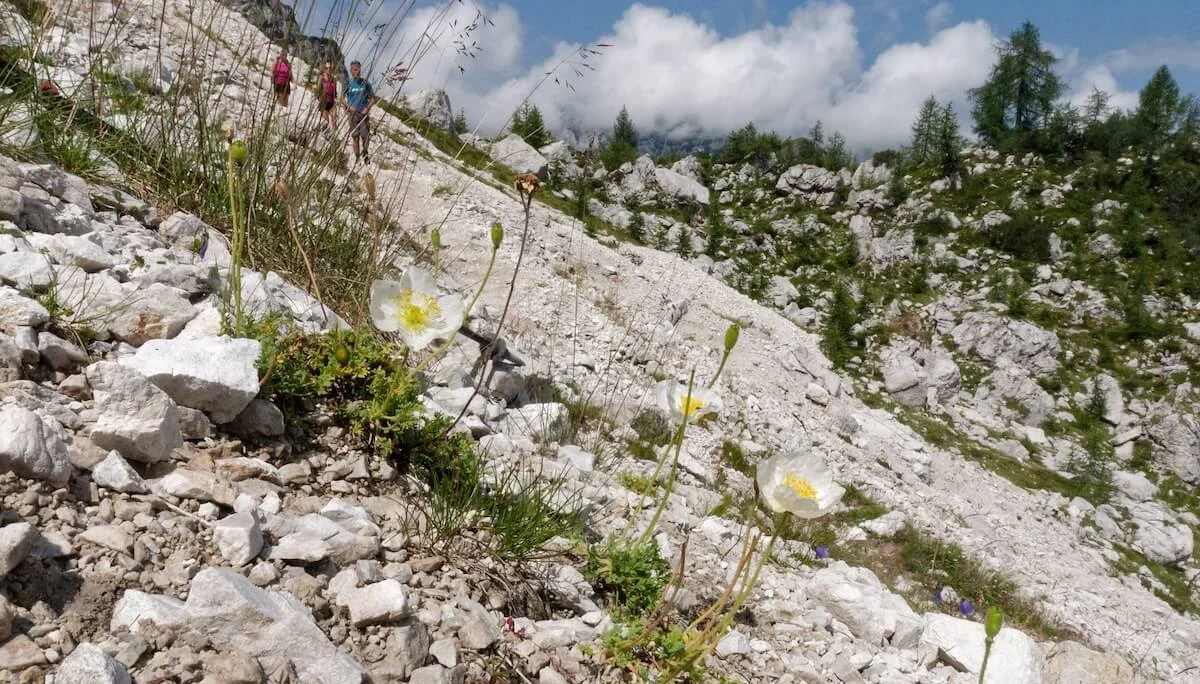 Julische Alpen Juli 2022 | © DAV Markt Schwaben | Foto Lutz Gründel