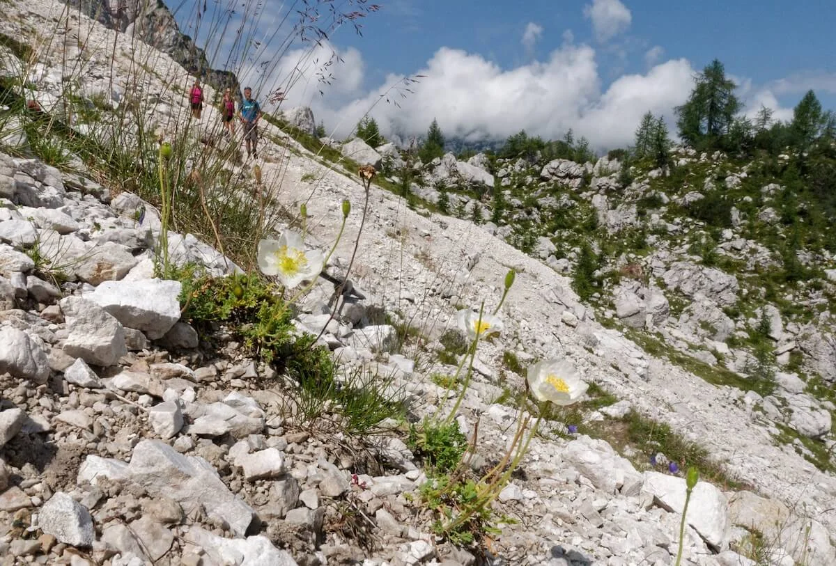Julische Alpen Juli 2022 | © DAV Markt Schwaben | Foto Lutz Gründel