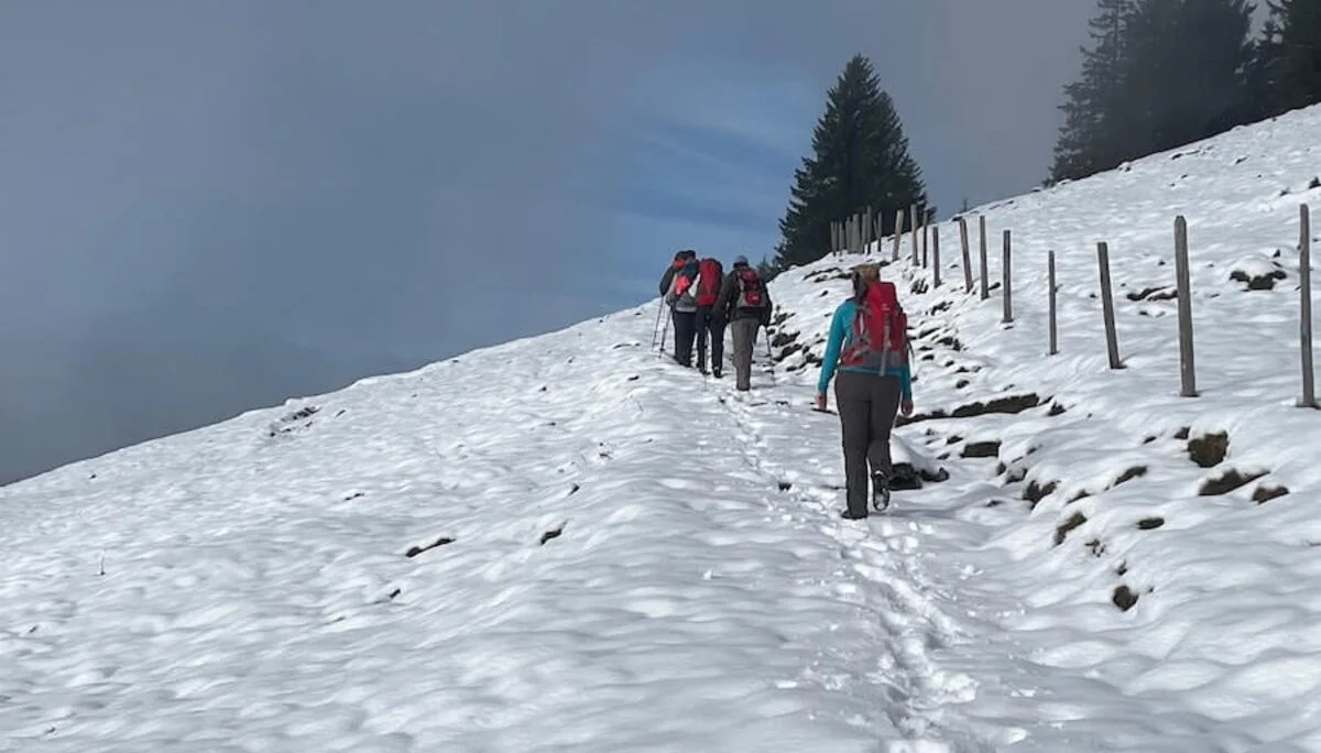 Wandern Spitzstein 2022 November | © DAV Markt Schwaben | Foto Markus Sellmeier