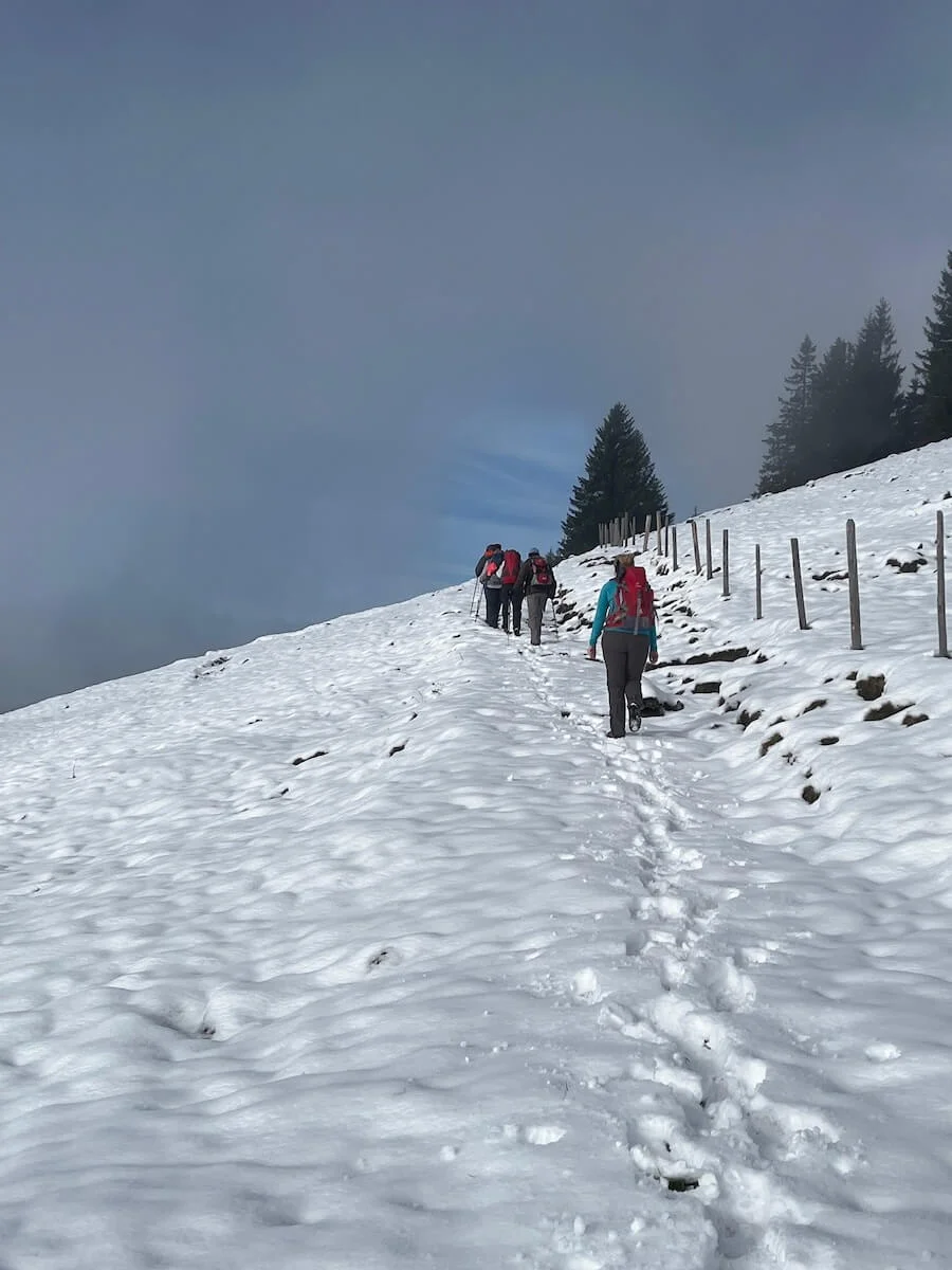 Wandern Spitzstein 2022 November | © DAV Markt Schwaben | Foto Markus Sellmeier