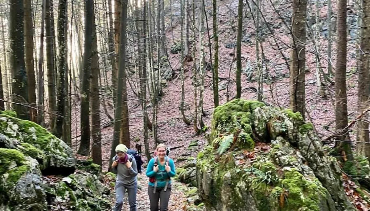 Wandern Spitzstein 2022 November | © DAV Markt Schwaben | Foto Markus Sellmeier