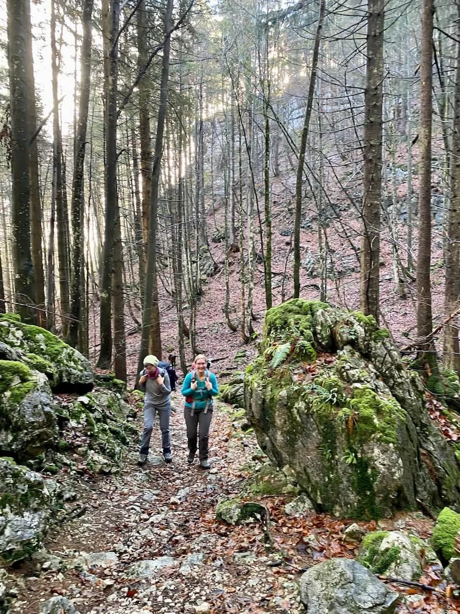 Wandern Spitzstein 2022 November | © DAV Markt Schwaben | Foto Markus Sellmeier