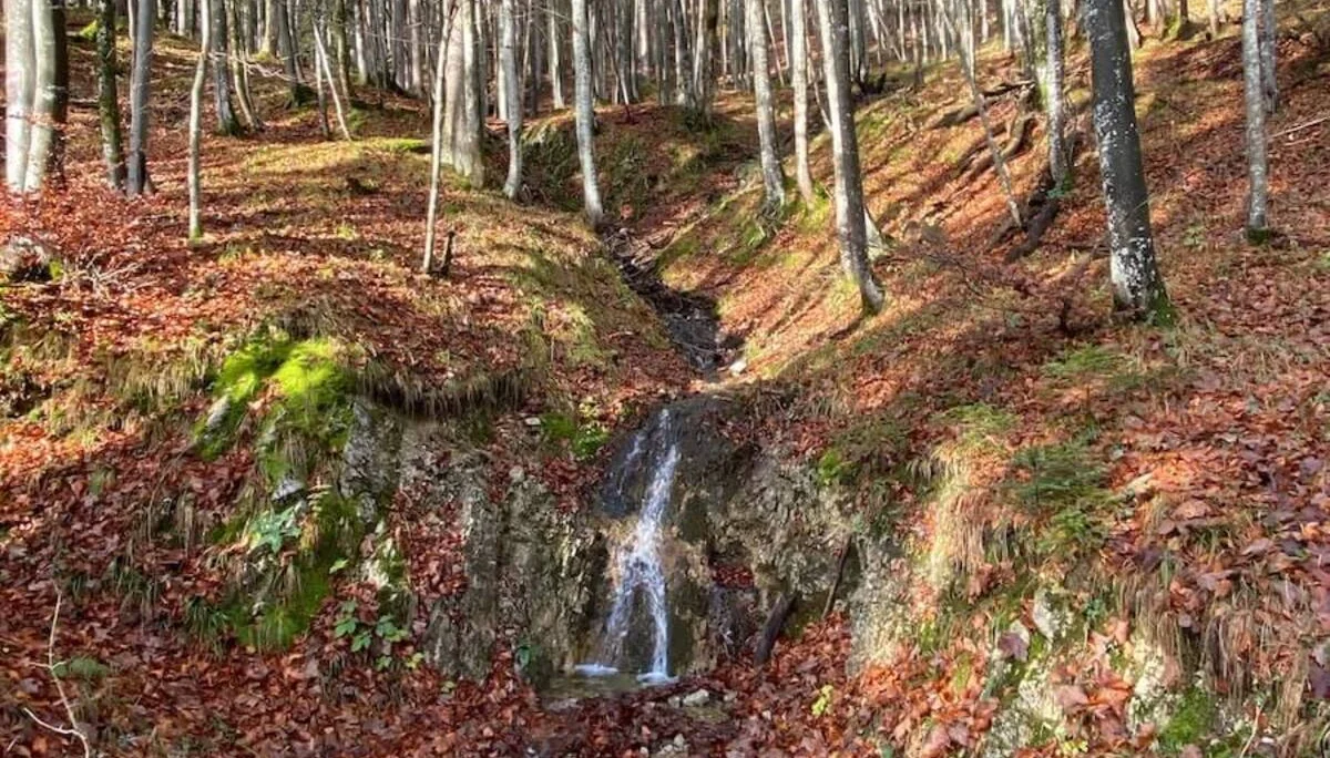 Wandern Spitzstein 2022 November | © DAV Markt Schwaben | Foto Markus Sellmeier