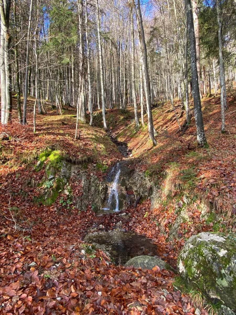 Wandern Spitzstein 2022 November | © DAV Markt Schwaben | Foto Markus Sellmeier